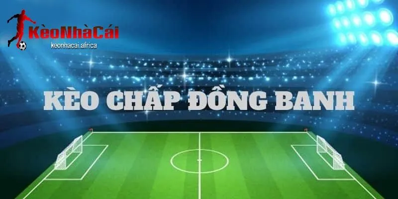 cach tinh tien cuoc va ket qua tran dau jpg Cách tính tiền cược và kết quả trận đấu
