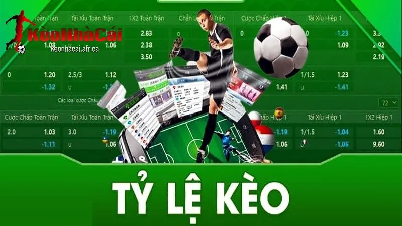 khai niem co ban ve ty le keo la gi Khái niệm cơ bản về tỷ lệ kèo là gì