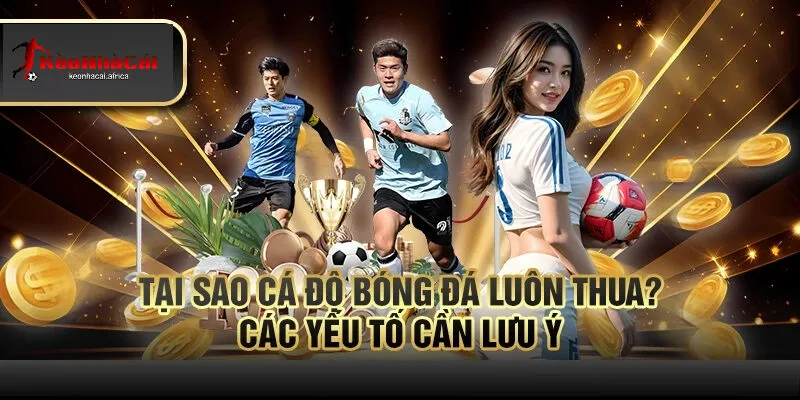 7 tai sao ca do bong da luon thua cac yeu to can luu y Cá Cược Bóng Đá - Nghệ Thuật Hay May Rủi?
