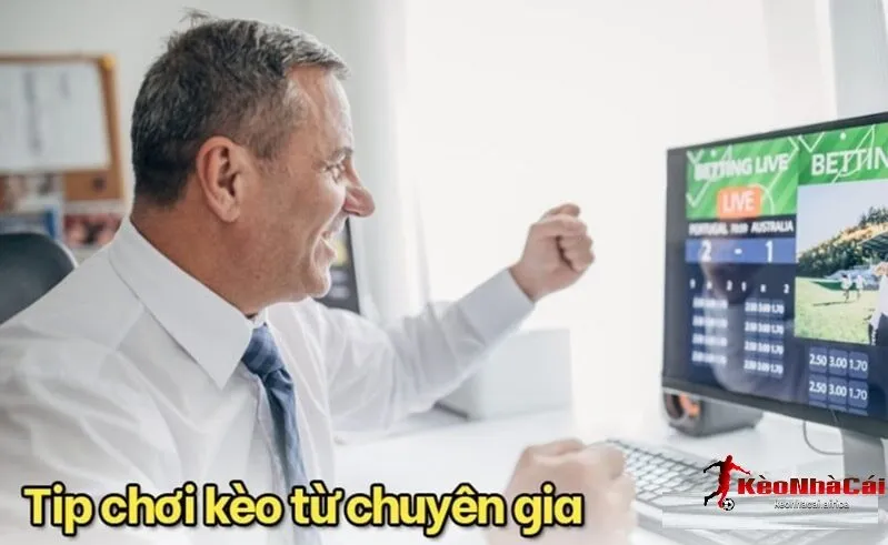 bi quyet soi keo hieu qua tu cac chuyen gia 1 Bí Quyết Soi Kèo Nhà Cái Hiệu Quả Từ Các Chuyên Gia
