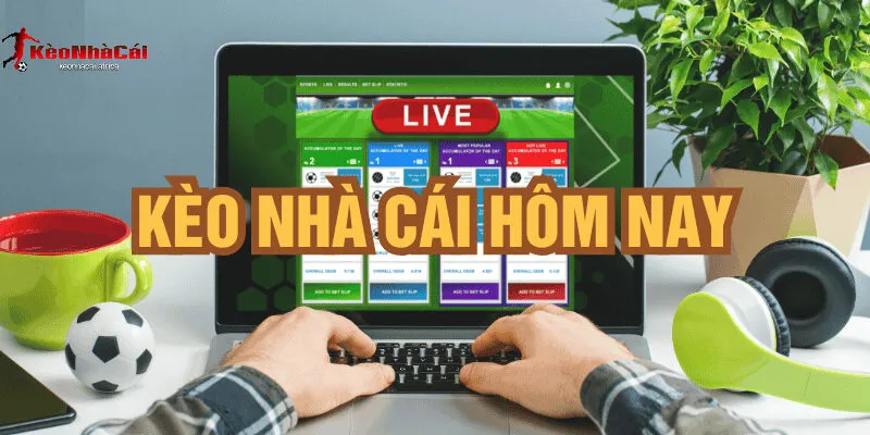 cach soi keo bong da hom nay chinh Cách soi kèo bóng đá chính xác nhất từ các chuyên gia