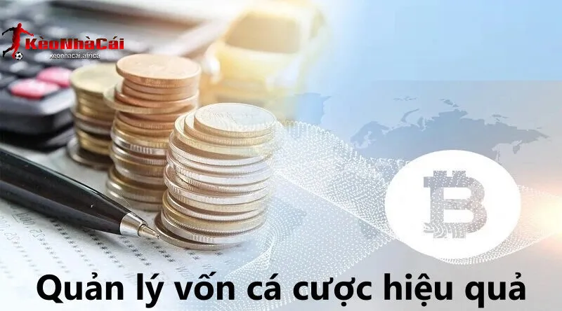 cong cu quan ly von hieu qua Công cụ quản lý vốn rất hiệu quả