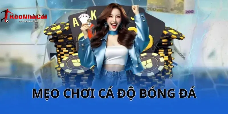 hieu biet luat choi nen tang cua meo cacuoc bong da 1 Hiểu Biết Luật Chơi – Nền Tảng Của Mẹo Cá Cược Bóng Đá Online