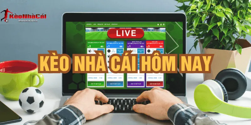 keo nha cai hom nay cap nhat theo gio vang Kèo Nhà Cái Hôm Nay - Cập Nhật Theo Giờ Vàng
