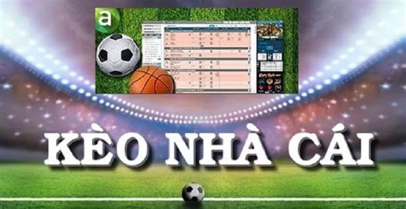 lua chon nha cai va trang thong ke dang tin cay 1 Lựa Chọn Nhà Cái Và Trang Thống Kê Đáng Tin