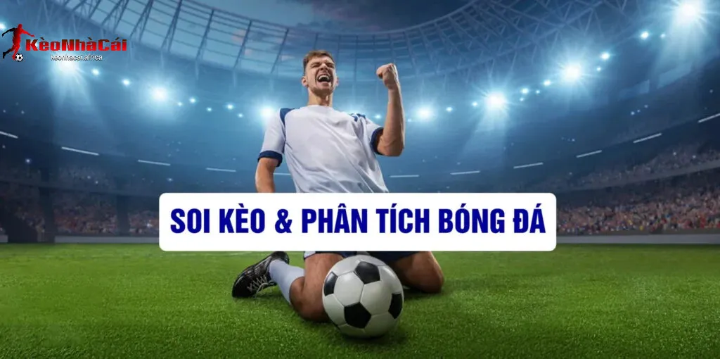 ly do nen soi keo bong da cup c1 Lý Do Nên Soi Kèo Bóng Đá Cúp C1