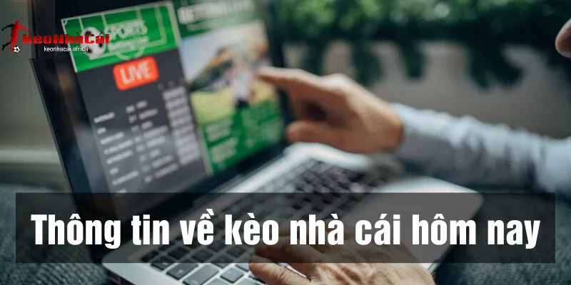 ty le keo nha cai la gi vatai sao can cap nhat lien tuc Tỷ lệ kèo nhà cái là gì và tại sao cần cập nhật liên tục?
